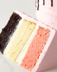 Neapolitan Cake