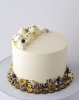 Black Tie Sprinkle Cake