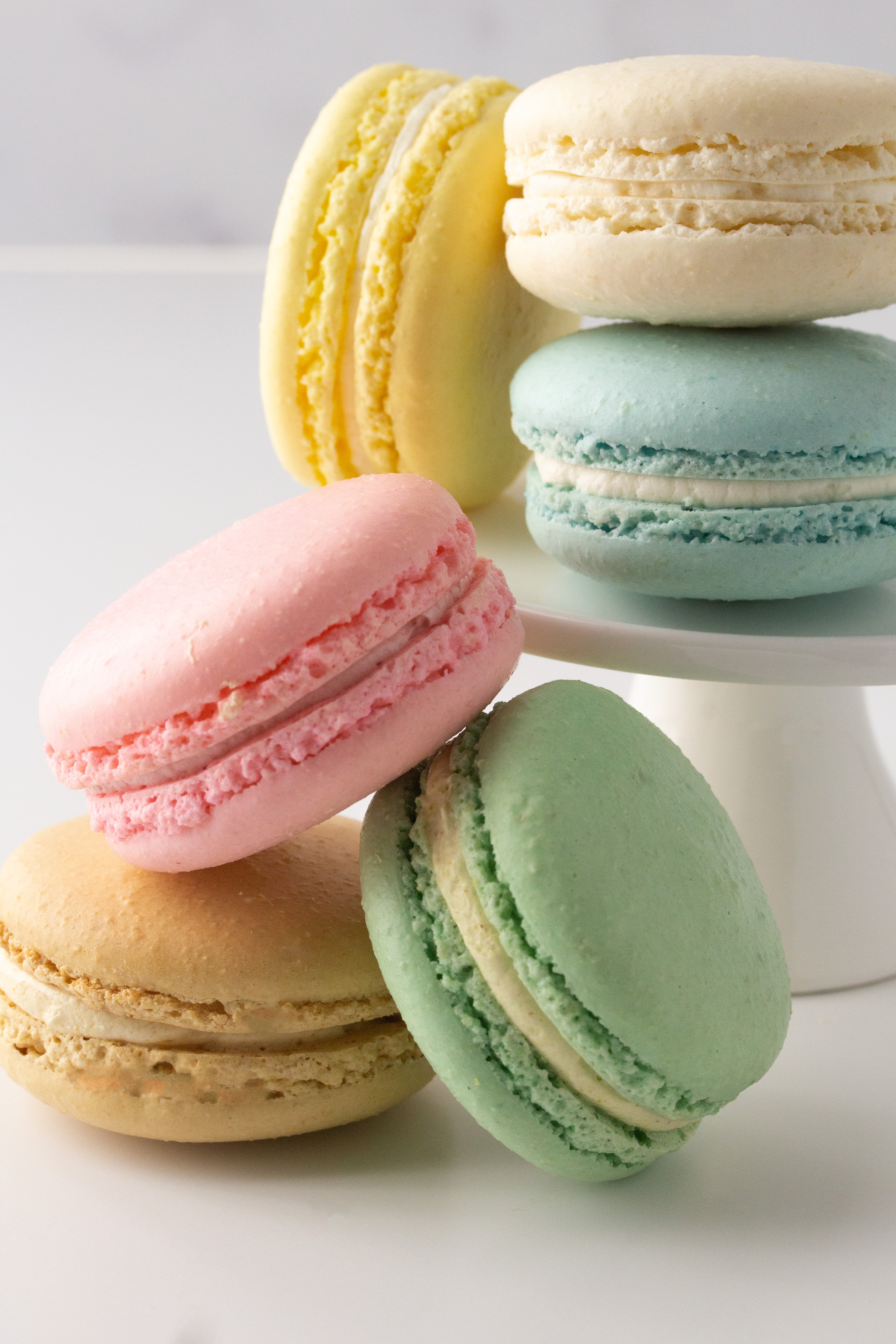リナシュシュ　Sweet vanilla Macaron Vanilla Macaron – Bittersweet Pastry Shop